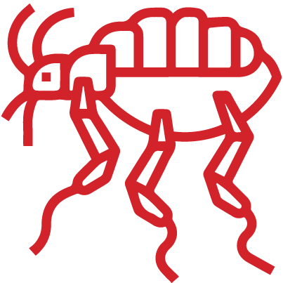 Rental Pest Control Service Narangba Moreton Bay, Queensland, Australia