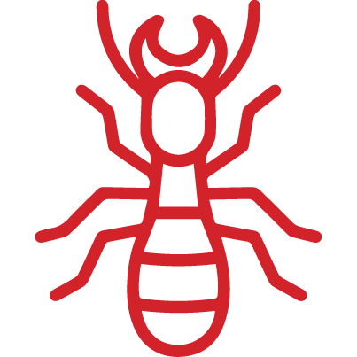 Termite Management Narangba Moreton Bay, Queensland, Australia